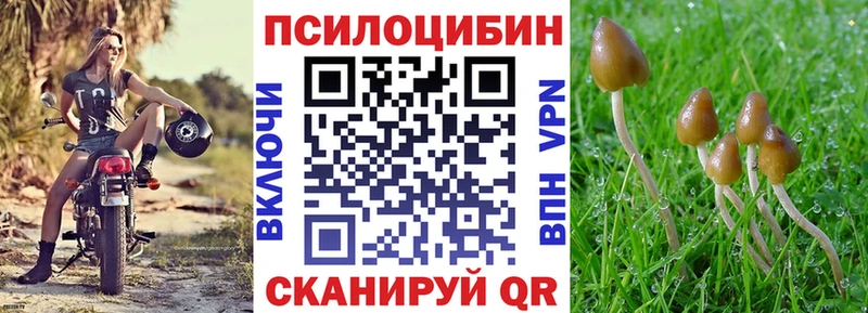 Псилоцибиновые грибы MAGIC MUSHROOMS  Щёкино 